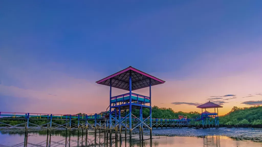 Melawan Abrasi, Menanam Ekonomi: Slaman Suburkan Hutan Mangrove di Pesisir Pamekasan Madura.