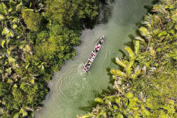 Wilayah Taman Nasional Ujung Kulon merupakan pusat konservasi Badak Bercula Satu. Gambar oleh Haluan Banten.